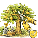 Санітарна обрізка та догляд за садом